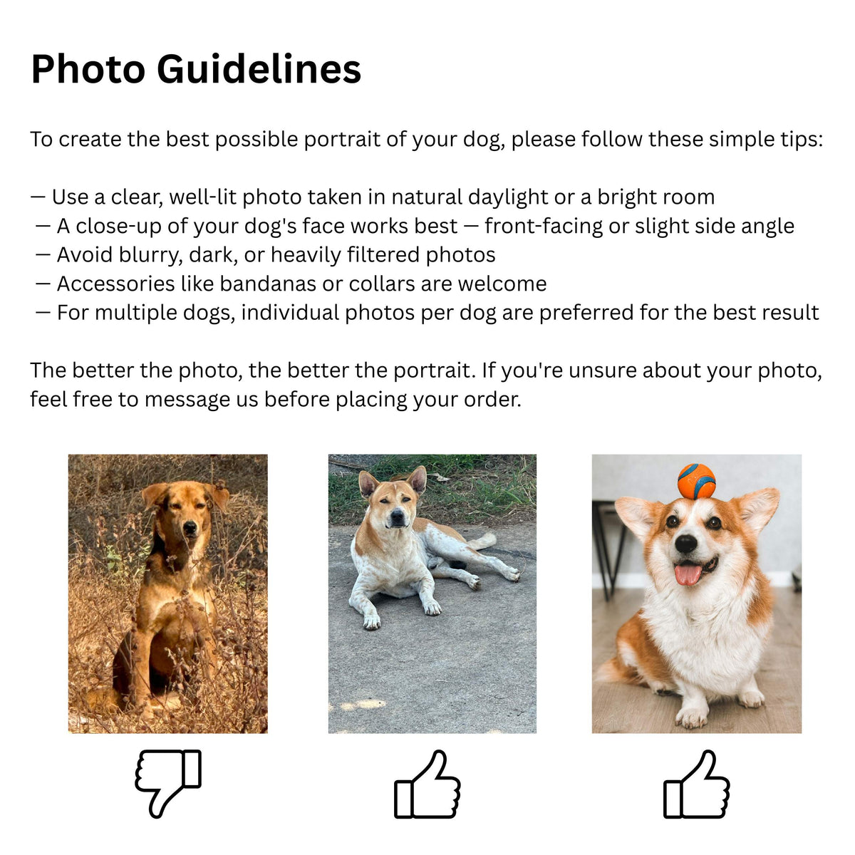 Guide for uploading your pet photo for a custom portrait t-shirt - Mi Loco Loco