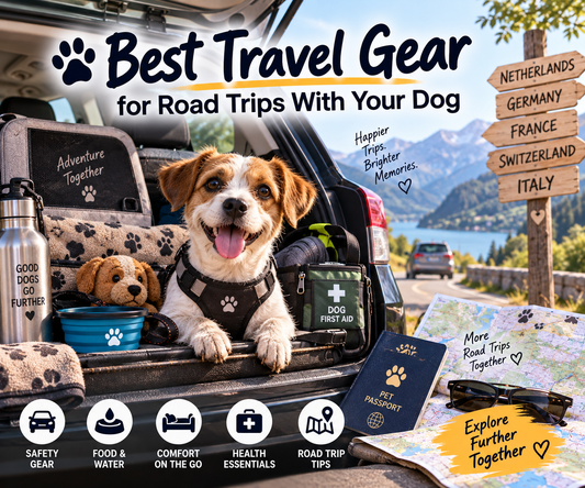 Happy terrier in a harness in the open boot of a car, surrounded by a travel bowl, water bottle, first aid kit and a map