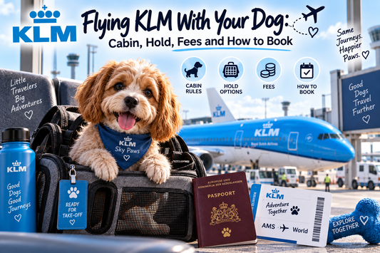 Fluffy puppy in a travel carrier at Amsterdam airport with a Dutch passport, boarding pass and a KLM plane behind