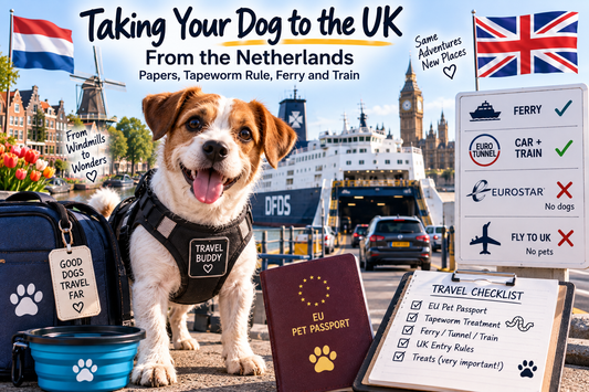 Terrier in a travel harness at a ferry port with an EU pet passport and travel checklist, Dutch and British flags behind