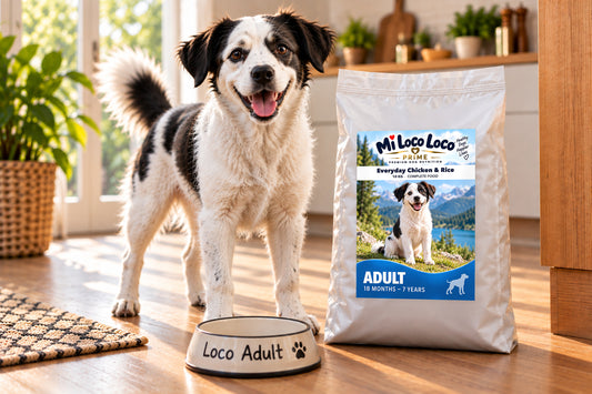 Mi Loco Loco Everyday Chicken & Rice dry dog food, 10 kg bag, with a dog in a kitchen