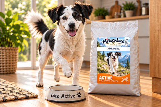 Mi Loco Loco High Energy dry dog food, 10 kg bag, with a dog in a kitchen