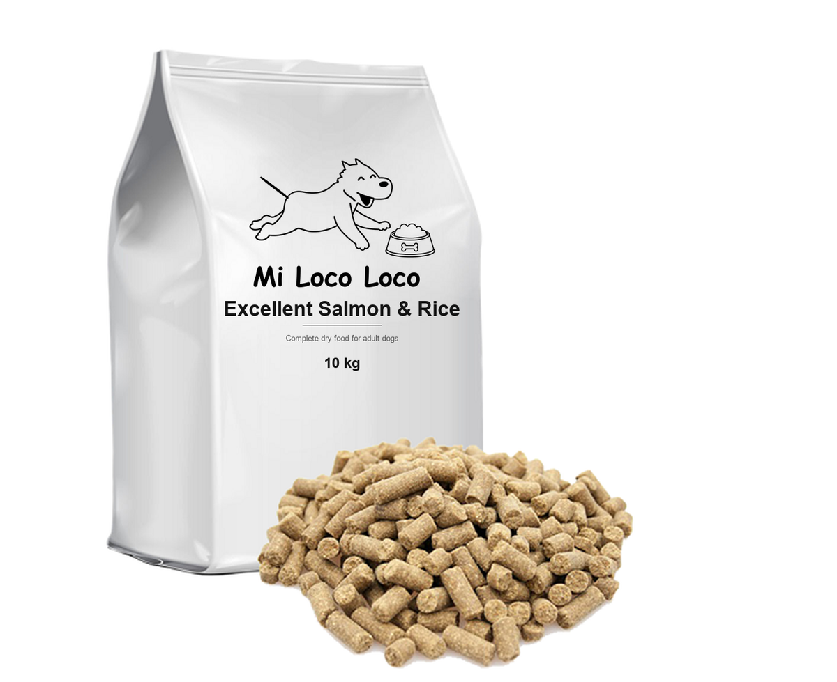 Mi Loco Loco Excellent Salmon & Rice, 10 kg