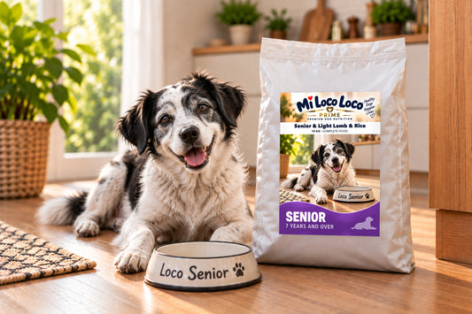 Mi Loco Loco Senior & Light Lamb & Rice dry dog food, 10 kg bag, with a dog in a kitchen