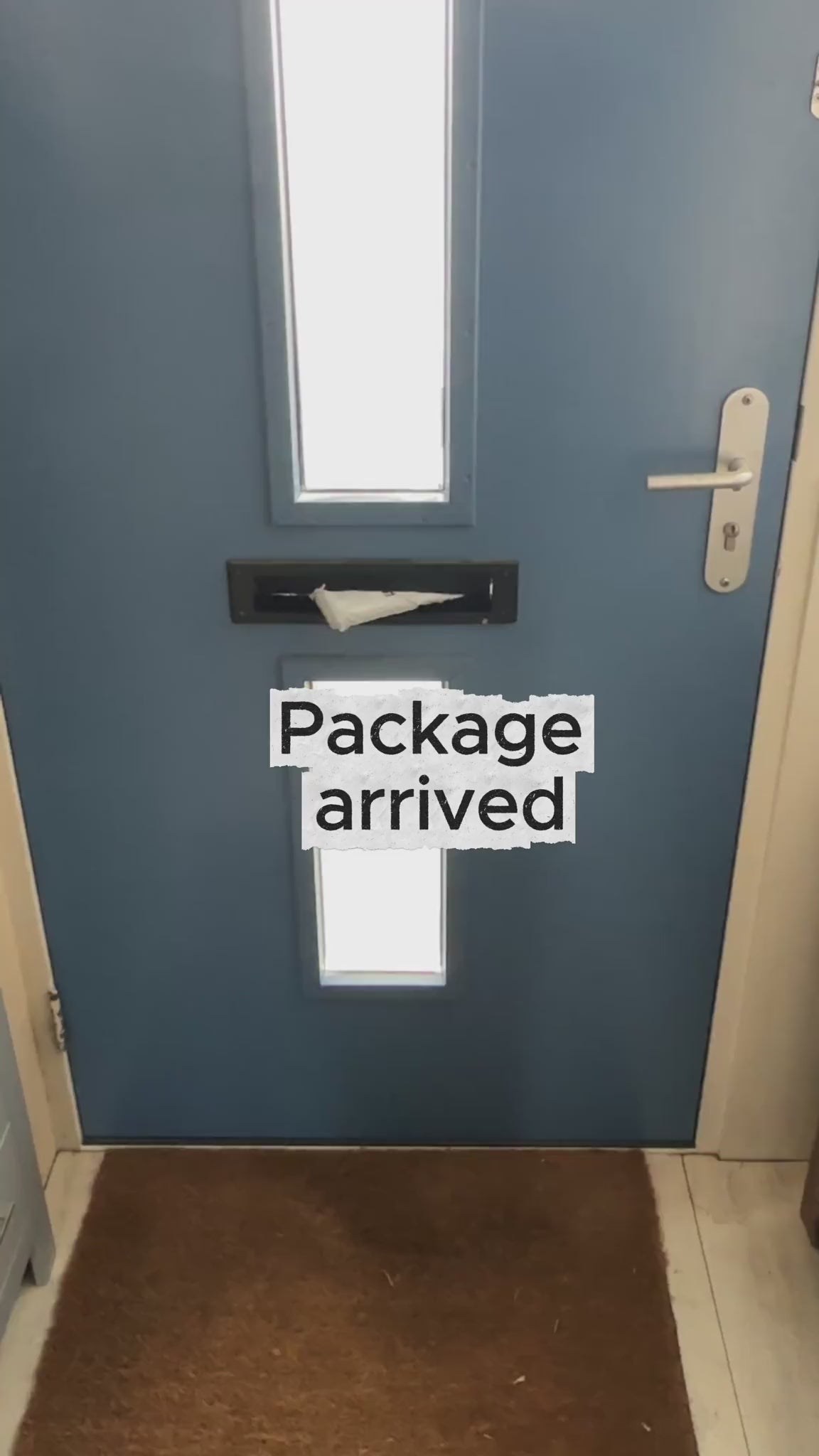 Mi Loco Loco unboxing video - Gildan 5000 Unisex T-Shirt custom dog portrait tee